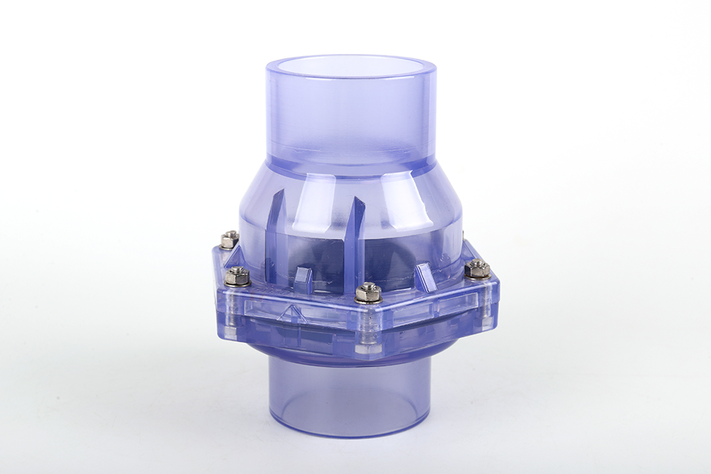 献县透明翻板式止回阀